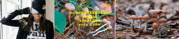 не бодяженный Алексин