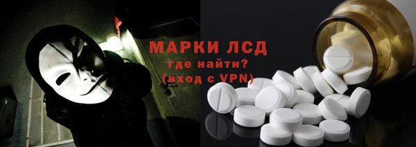 apvp Алзамай